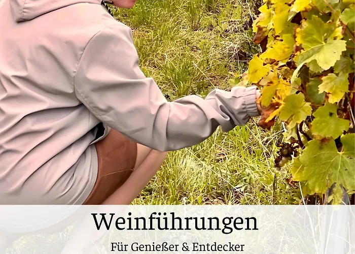 Waldblick - Mit Kamin, Wintergarten Und Terrasse Heimbuchenthal